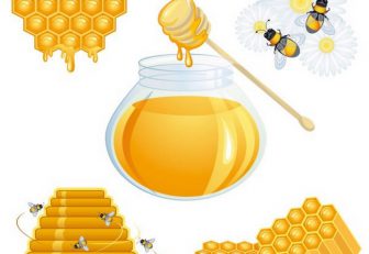 Mật ong và những công dụng thần kỳ